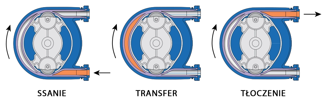 Zasada działania pomp perystaltycznych PCM PMA.