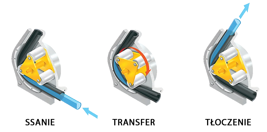 Zasada działania pomp perystaltycznych PCM Delasco Z