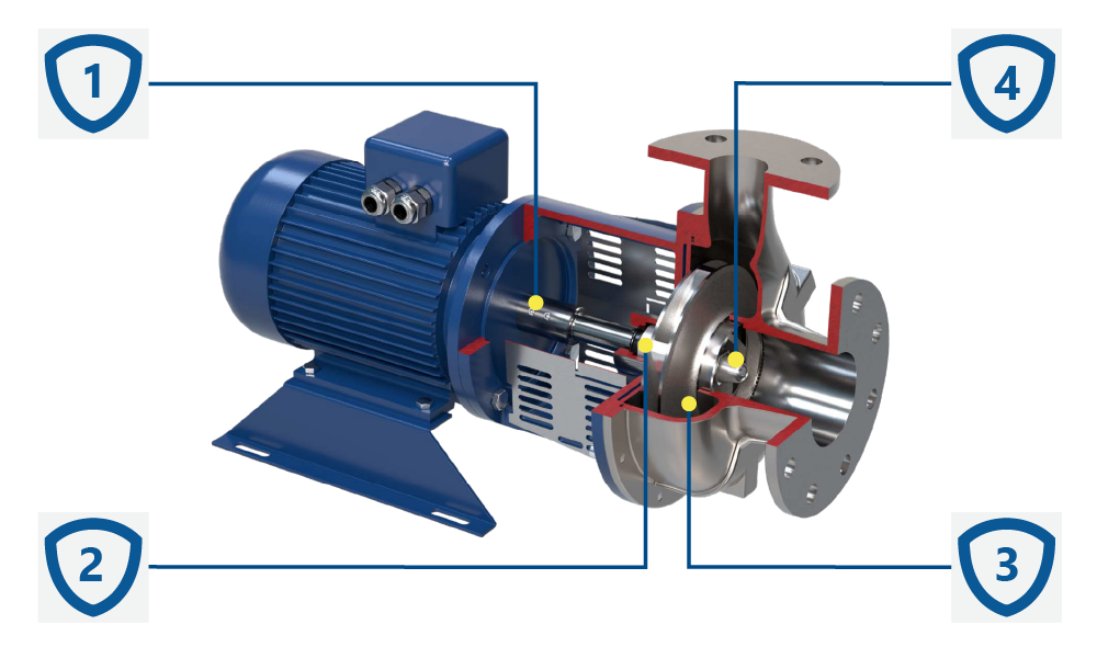 Konstrukcja pomp wirowych Salvatore Robuschi HD.