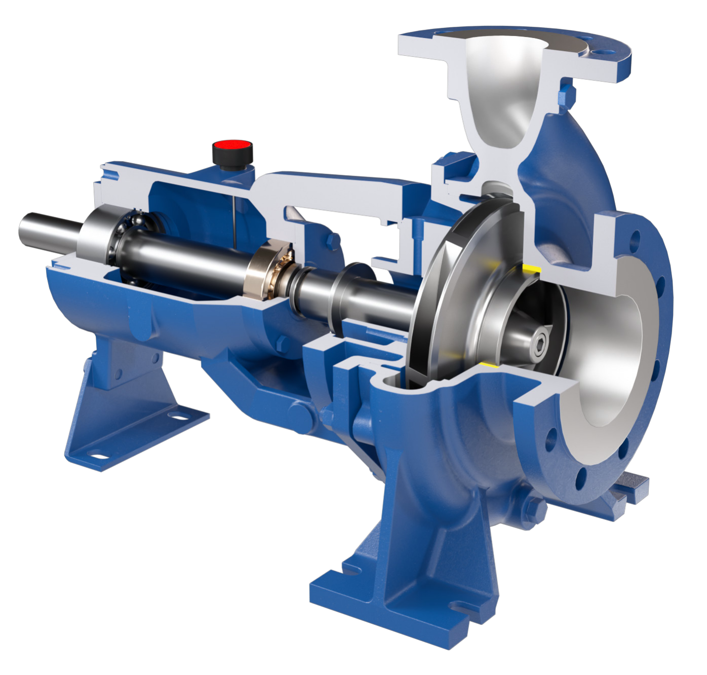Przemysłowe pompy odśrodkowe z wirnikiem zamkniętym Salvatore Robuschi RD w przekroju