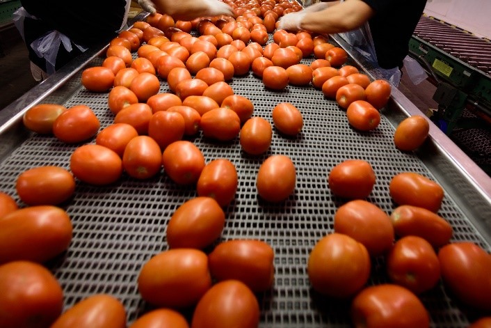 pompa do przecierów owocowych i warzywnych