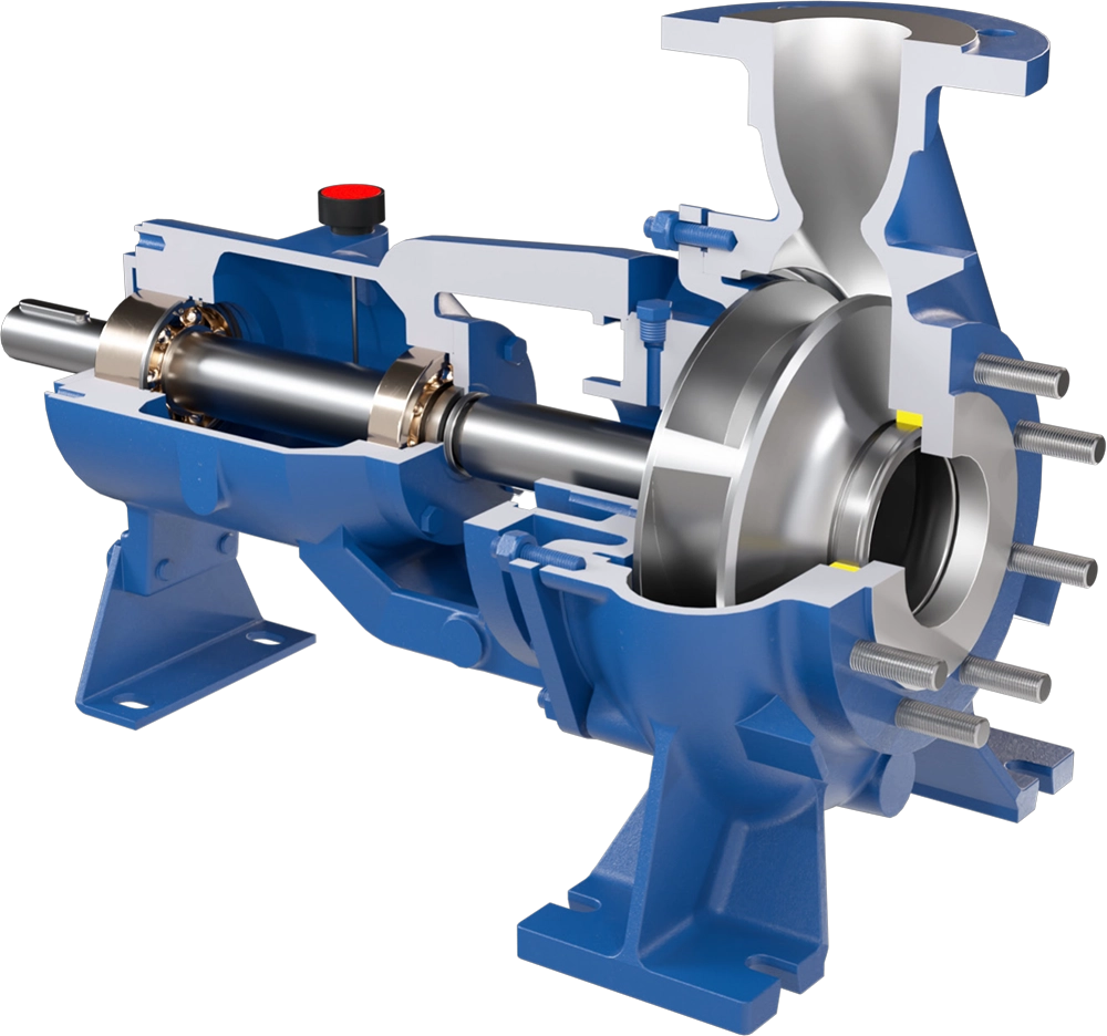 Przemysłowe pompy odśrodkowe z wirnikiem kanałowym Salvatore Robuschi RB w przekroju